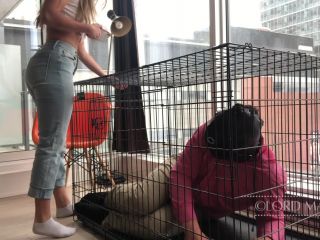 online xxx clip 14 Lord Maria - Introducing The Slave To Its Cage - watching - femdom porn superb femdom-8