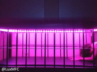 adult video 20 LuxNeon - Bratty Slave Begs &Amp; Seduces For Freedom - temptress lux - fetish porn fetish sex toys-4