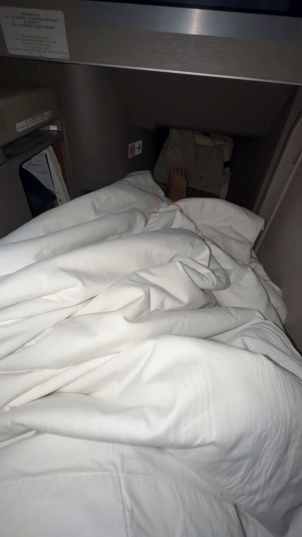 Hot Sexy Slut Masturbating In Business Class Flight! Bunnybrownie!Publi