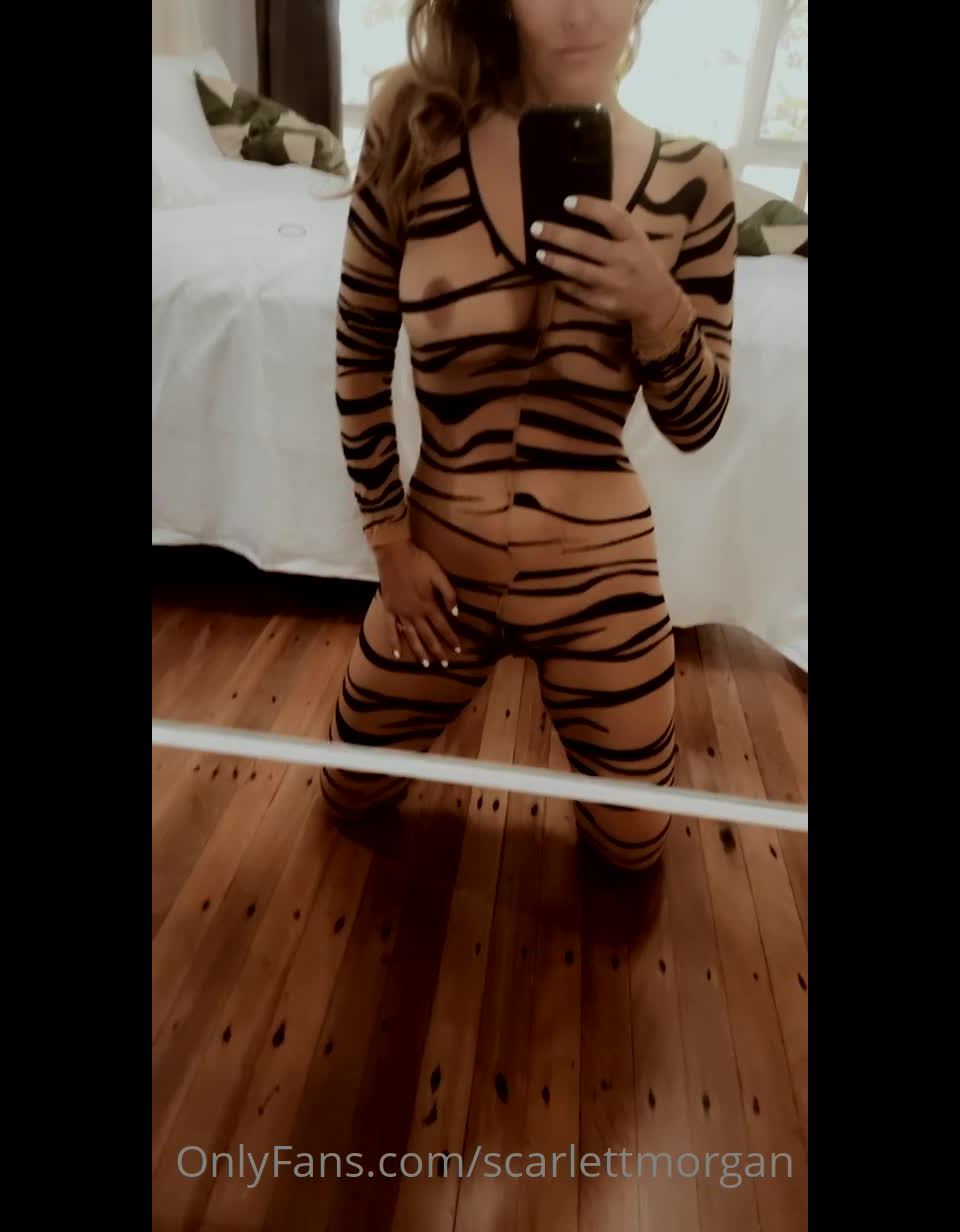 Scarlett Morgan Scarlettmorgan - tiger or zebra predator or prey 12-01-2021