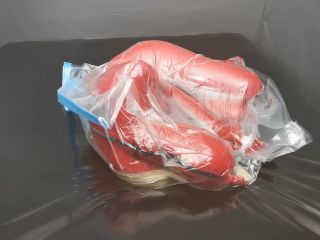 vicky d pbFun in a vaccum bag-7