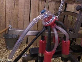 Lisa - back to the barn [HuCows / FullHD / 1080p], bdsm bondage sex hardcore on bdsm porn -0