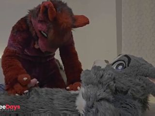 [GetFreeDays.com] this cute gray bunny fucks horny female wolf Murrsuit Porn Porn Video July 2023-0