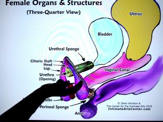 How To Squirt  Explained Fast  Mr Pussylicking 1080p-4