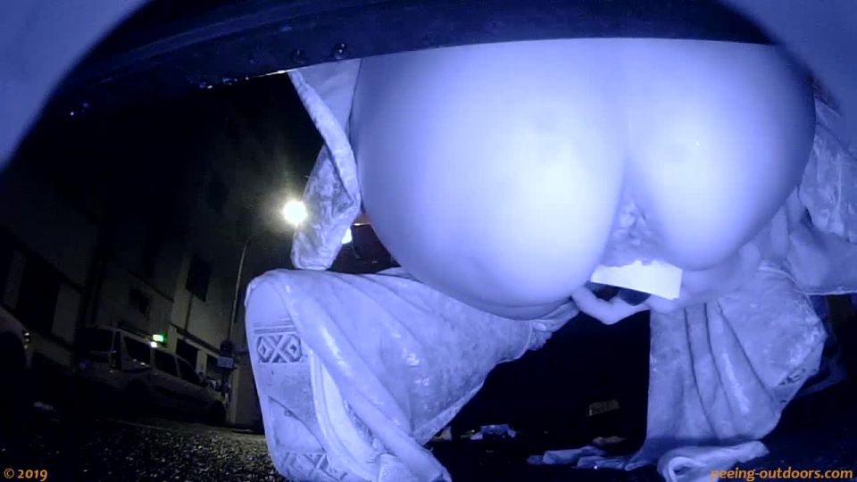 Voyeur – Carnival At Night 0006 - (Webcam)