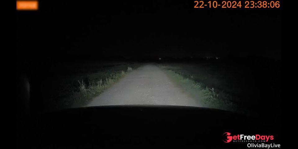 [GetFreeDays.com] I found a ghost bitch on Halloween while driving at night  Adult Clip December 2022