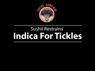 SolesScreamExperience - Sushii Restrains Indica For Tickles.-9