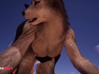 [GetFreeDays.com] Wolf Furries FuckingLuna x Rezir018Wildlife3D Adult Film July 2023-4