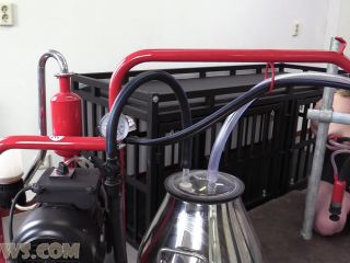 free online video 32 bdsm gangbang hd Hucows – HuCow 38 – red cow milker, bondage on toys-8