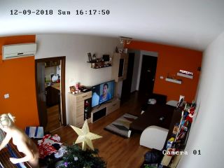 home_ip_cam_hacked_18_-6