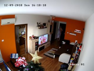 home_ip_cam_hacked_18_-9