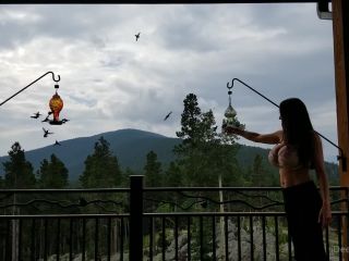 Heather Harmon Heatherharmon - this isnt the discovery channel but dang ive never seen this many hummingbirds ive be 02-08-2021-4