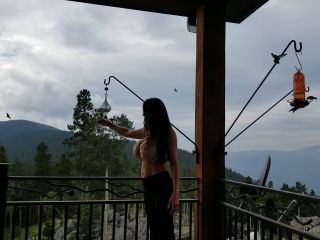 Heather Harmon Heatherharmon - this isnt the discovery channel but dang ive never seen this many hummingbirds ive be 02-08-2021-5