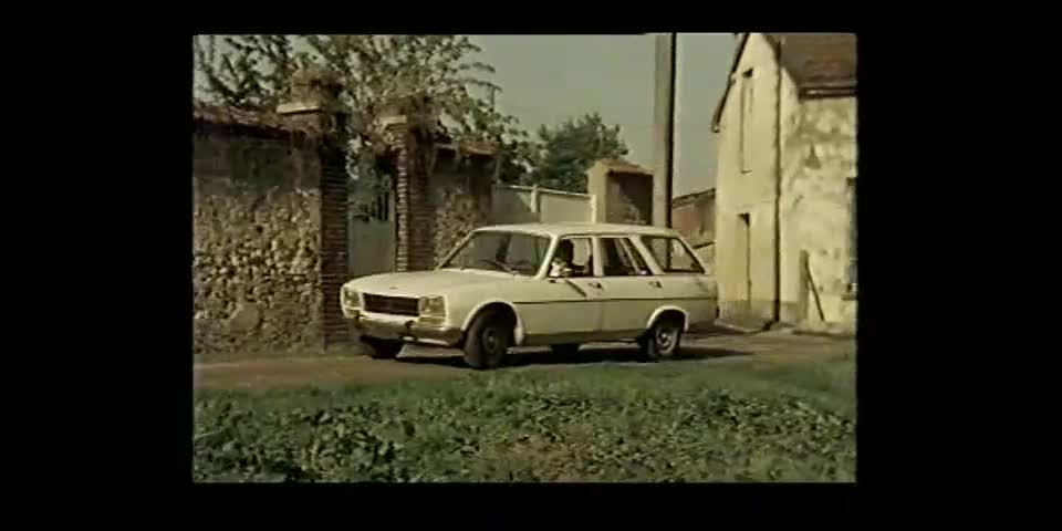 Heisse Stuten (1981)!!!