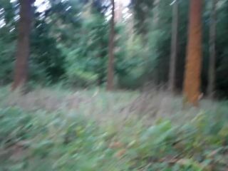 Fotzenfullung in the forest – Part 1 (User request) – KarinaHH fisting KarinaHH-3