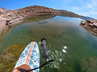 Sex On A Paddle Board 1080p-1