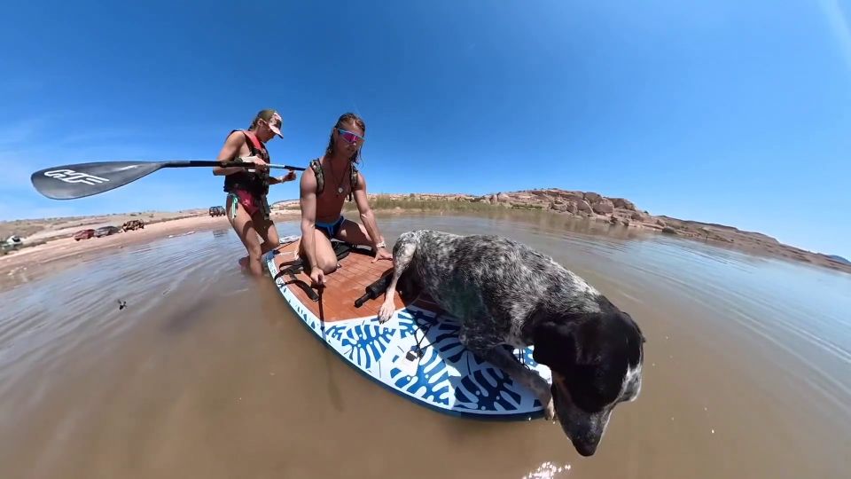 Sex On A Paddle Board 1080p