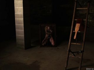 online porn video 44 BrutalMaster – Slave Greyhound | 30 November 2019 - brutal master - femdom porn femdom hotwife cuckold interracial-9