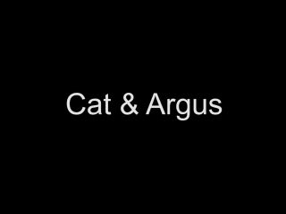 Cat and Argus – Open Window-9