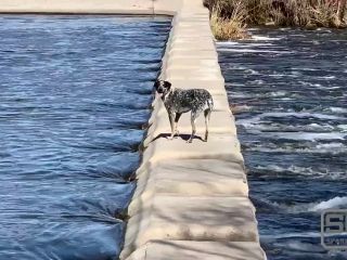 Fucking And Sucking In The Las Vegas Wetlands 1080p-0