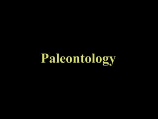 Charlotte Heinimann - Paleontology (2015) HD 1080p!!!-0