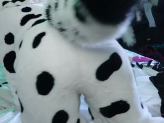 Dotti Pink Part One Fursuit Show Live On Chaturbate 10-10-2020-2