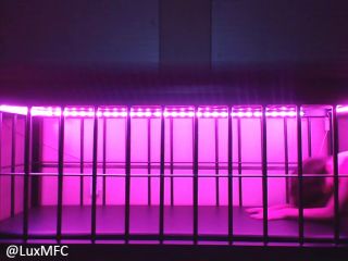 adult xxx video 29 Lux Neon – Bratty slave begs and seduces for freedom on pov jade indica femdom-4