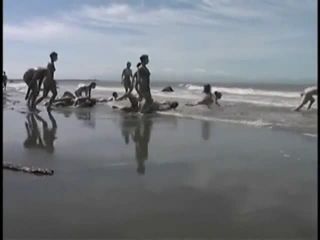 Bunch of nudists exercising on the beach Nudism!-3