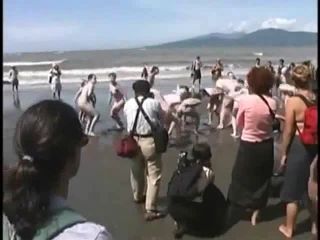 Bunch of nudists exercising on the beach Nudism!-5