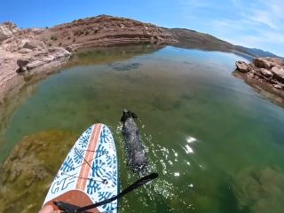 SparksGoWildSex on a Paddle Board-1