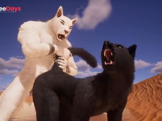 [GetFreeDays.com] Wolf girl gets Knotted by White Wolf BFEve x VictreWildlife3D Porn Adult Clip January 2023-4