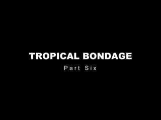 Porn online Latex Porn – 7894 – Tropical Bondage – Part Six – Affection & Lucia Love-1