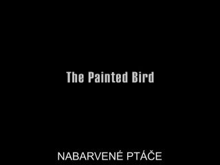 Denisa Pfauserova – The Painted Bird (Nabarvene ptace) (2019) HD 1080p!!!-0