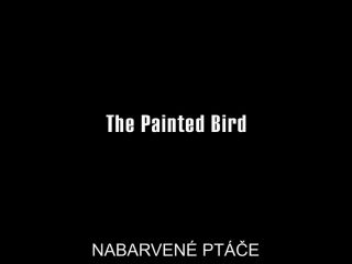 Denisa Pfauserova – The Painted Bird (Nabarvene ptace) (2019) HD 1080p!!!-1