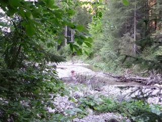 Vom Perversen Spanner Am Ufer Beobachtet Und Gnadenlos Neben Wanderweg Gefickt 1080p-0