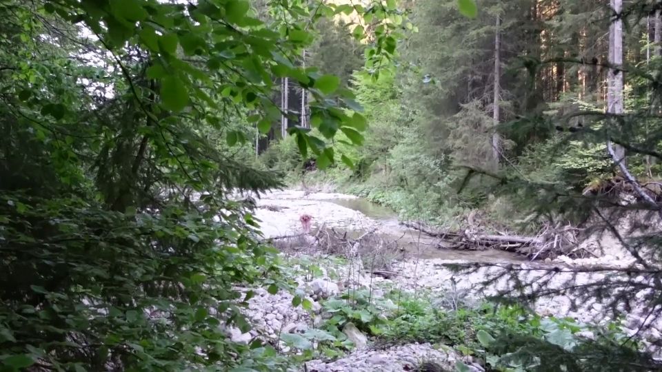 Vom Perversen Spanner Am Ufer Beobachtet Und Gnadenlos Neben Wanderweg Gefickt 1080p