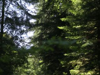 Beautiful Place For Thick Creampie  Amateur Outdoor Sex 1080p-0