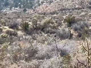 Hiking And Fucking While Wearing Thongs 1080p-9