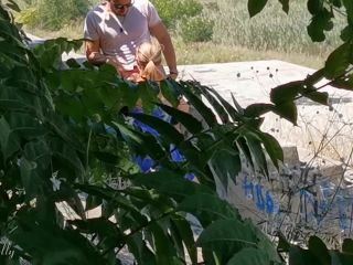 Horny Couple Having Sex In A Public Park 1080p-3